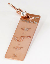 Carica l'immagine nel visualizzatore di Gallery, 02) YELIY’EL - 26 a 31 Marzo - Orecchino in bronzo satinato, orecchino bronzo satinato