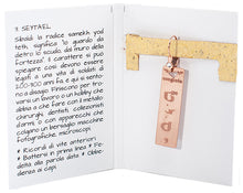 Carica l'immagine nel visualizzatore di Gallery, 03) SEYTA’EL - 31 Marzo cuspide - Orecchino in bronzo satinato, orecchino bronzo satinato