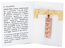 Carica l'immagine nel visualizzatore di Gallery, 06) LELEHE’EL - 15 a 20 Aprile - Orecchino in bronzo satinato, orecchino bronzo satinato