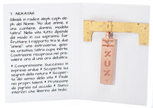 Carica l'immagine nel visualizzatore di Gallery, 07) ‘AKA’AYAH - 21 a 25 Aprile - Orecchino in bronzo satinato, orecchino bronzo satinato