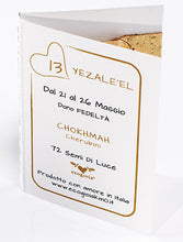 Carica l'immagine nel visualizzatore di Gallery, 13) YEZALE’EL - 21 a 26 Maggio - Pendente bronzo satinato