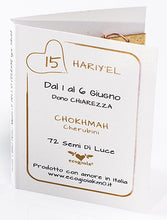 Carica l'immagine nel visualizzatore di Gallery, 15) HARIY’EL - 1° a 6 Giugno - Pendente bronzo satinato