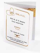 Carica l'immagine nel visualizzatore di Gallery, 18) KALIY’EL - 16 a 21 Giugno - Pendente bronzo satinato