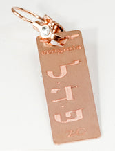 Carica l'immagine nel visualizzatore di Gallery, 20) PEHALIYAH - 27 a 30 Giugno - Orecchino in bronzo satinato, orecchino bronzo satinato