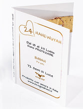 Carica l'immagine nel visualizzatore di Gallery, 24) HAHEWUYAH - 18 a 23 Luglio - Pendente bronzo satinato