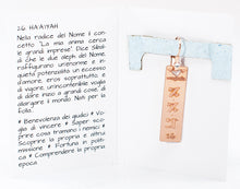 Carica l'immagine nel visualizzatore di Gallery, 26) HA’A’IYAH - 28 a 31 luglio - Orecchino in bronzo satinato, orecchino bronzo satinato