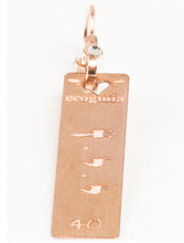 Carica l'immagine nel visualizzatore di Gallery, 40) YEYAZE’EL - 9 a 13 Ottobre - Orecchino in bronzo satinato, orecchino bronzo satinato