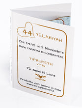 Carica l'immagine nel visualizzatore di Gallery, 44) YELAHIYAH - 1° a 2 Novembre - Pendente bronzo satinato