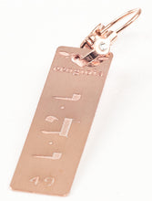 Carica l'immagine nel visualizzatore di Gallery, 49) WEHEWU’EL - 23 a 27 Novembre - Orecchino in bronzo satinato, orecchino bronzo satinato