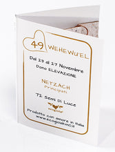 Carica l'immagine nel visualizzatore di Gallery, 49) WEHEWU’EL - 23 a 27 Novembre - Pendente bronzo satinato