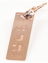 Carica l'immagine nel visualizzatore di Gallery, 59) HARAHE’EL - 11 a 15 Gennaio - Orecchino in bronzo satinato, orecchino bronzo satinato