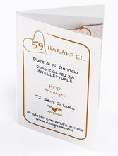 Carica l'immagine nel visualizzatore di Gallery, 59) HARAHE’EL - 11 a 15 Gennaio - Pendente bronzo satinato