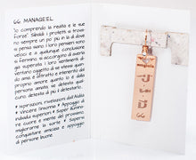 Carica l'immagine nel visualizzatore di Gallery, 66) MANAQE’EL - 14 a 19 Febbraio - Orecchino in bronzo satinato, orecchino bronzo satinato