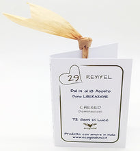 Carica l'immagine nel visualizzatore di Gallery, 29) REYIY’EL - 14 a 18 Agosto - Packaging etichetta