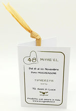 Carica l'immagine nel visualizzatore di Gallery, 48) MIYHE’EL - 18 a 22 Novembre - Pendente acciaio, pendente acciaio