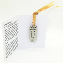 Carica l'immagine nel visualizzatore di Gallery, 49) WEHEWU’EL - 23 a 27 Novembre - Pendente acciaio, pendente acciaio