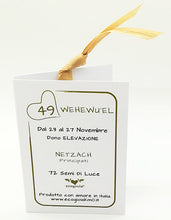 Carica l'immagine nel visualizzatore di Gallery, 49) WEHEWU’EL - 23 a 27 Novembre - Pendente acciaio, pendente acciaio