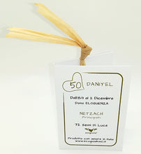 Carica l'immagine nel visualizzatore di Gallery, 50) DANIY’EL - 1° a 2 Dicembre - Pendente acciaio, pendente acciaio