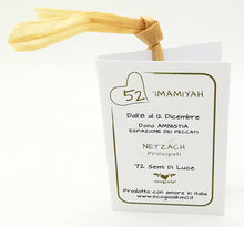 Carica l'immagine nel visualizzatore di Gallery, 52) ‘IMAMIYAH - 8 a 12 Dicembre - Pendente acciaio, pendente acciaio