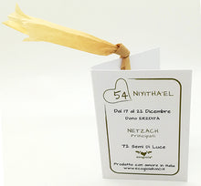 Carica l'immagine nel visualizzatore di Gallery, 54) NIYITHA’EL - 17 a 22 Dicembre - Pendente acciaio, pendente acciaio