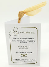 Carica l'immagine nel visualizzatore di Gallery, 56) PHUWIY’EL - 27 a 31 Dicembre - Pendente acciaio, pendente acciaio