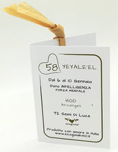 Carica l'immagine nel visualizzatore di Gallery, 58) YEYALE'EL - 6 a 10 Gennaio - Pendente acciaio, pendente acciaio