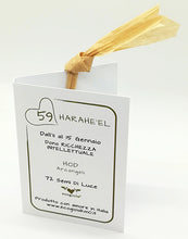 Carica l'immagine nel visualizzatore di Gallery, 59) HARAHE’EL - 11 a 15 Gennaio - Pendente acciaio, pendente acciaio