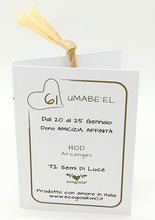 Carica l'immagine nel visualizzatore di Gallery, 61) UMABE'EL - 20 a 25 Gennaio - Pendente acciaio, pendente acciaio