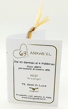 Carica l'immagine nel visualizzatore di Gallery, 63) ANAWE’EL - 1° a 4 Febbraio - Pendente acciaio, pendente acciaio