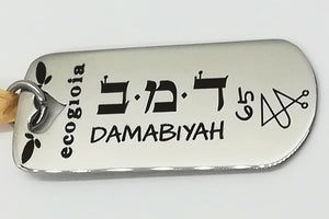 65) DAMABIYAH - 9 a 14 Febbraio - Pendente acciaio, pendente acciaio