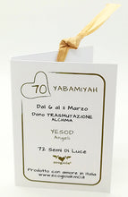 Carica l'immagine nel visualizzatore di Gallery, 70) YABAMIYAH - 6 a 11 Marzo - Pendente acciaio, pendente acciaio