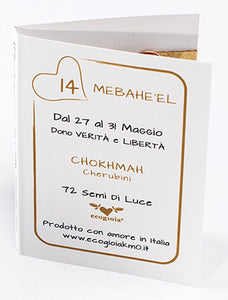 14) MEBAHE’EL - 27 a 31 Maggio - Pendente bronzo satinato
